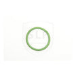 O-Ring von SLP